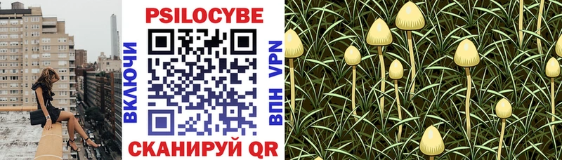 Псилоцибиновые грибы прущие грибы  Калач-на-Дону 